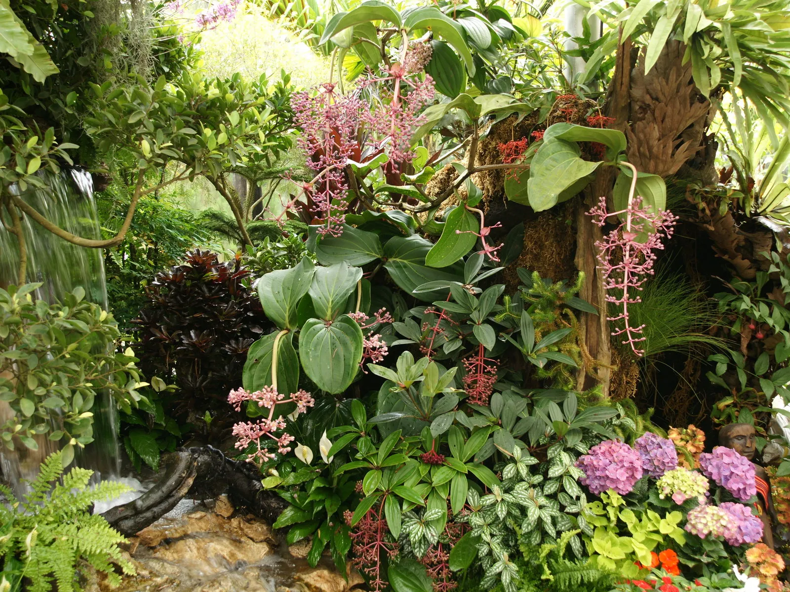 A dense tropical garden with lush green foliage, pink flowers, and a small cascading waterfall.