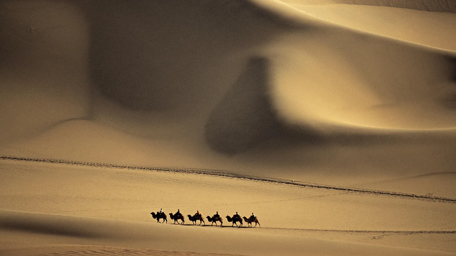 A caravan of camels with riders silhouetted against the golden sand dunes of a desert.