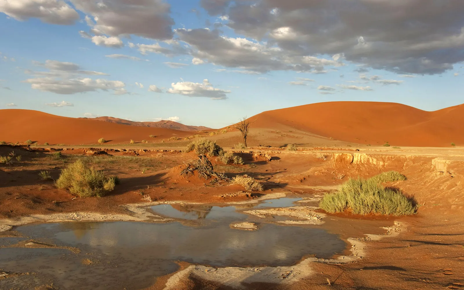 A desert landscape with large orange sand dunes, a small pool of water reflecting the sky, and sparse green bushes.