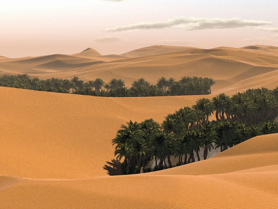 A vibrant green oasis with palm trees nestled between undulating sand dunes under a soft sky.