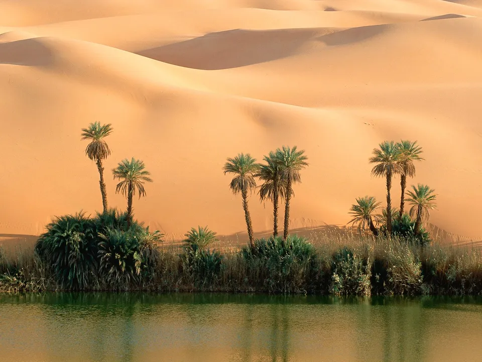 A tranquil desert oasis with palm trees and lush vegetation surrounding a calm body of water, with sand dunes in the background.