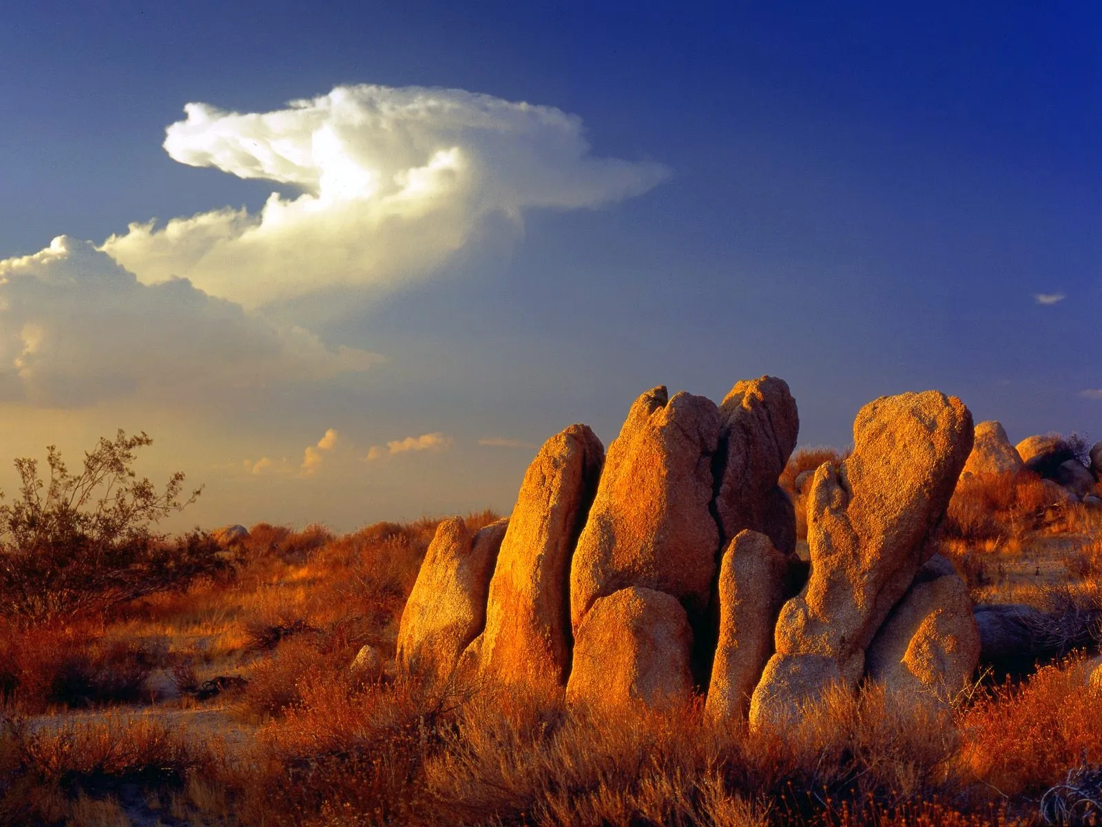 Large, weathered rock formations glow in the warm light of sunset, with dry brush and a dramatic cloud formation in the sky.