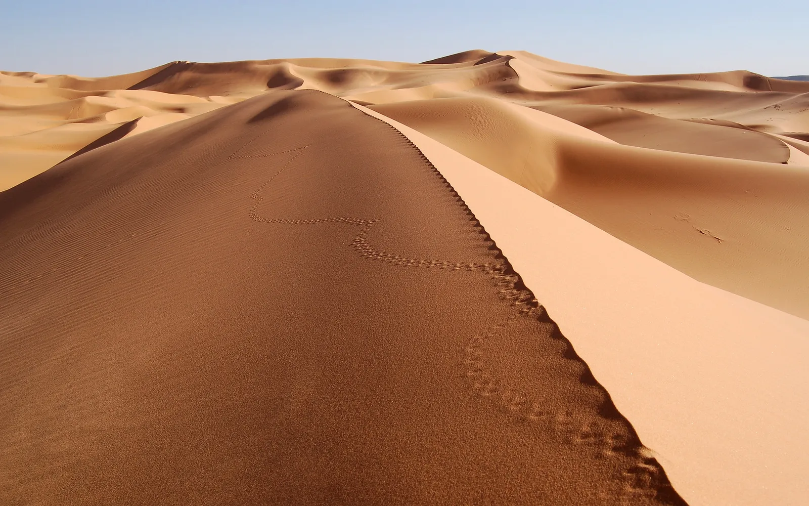 A winding trail of animal footprints leads across the crest of a large sand dune in a desert landscape.
