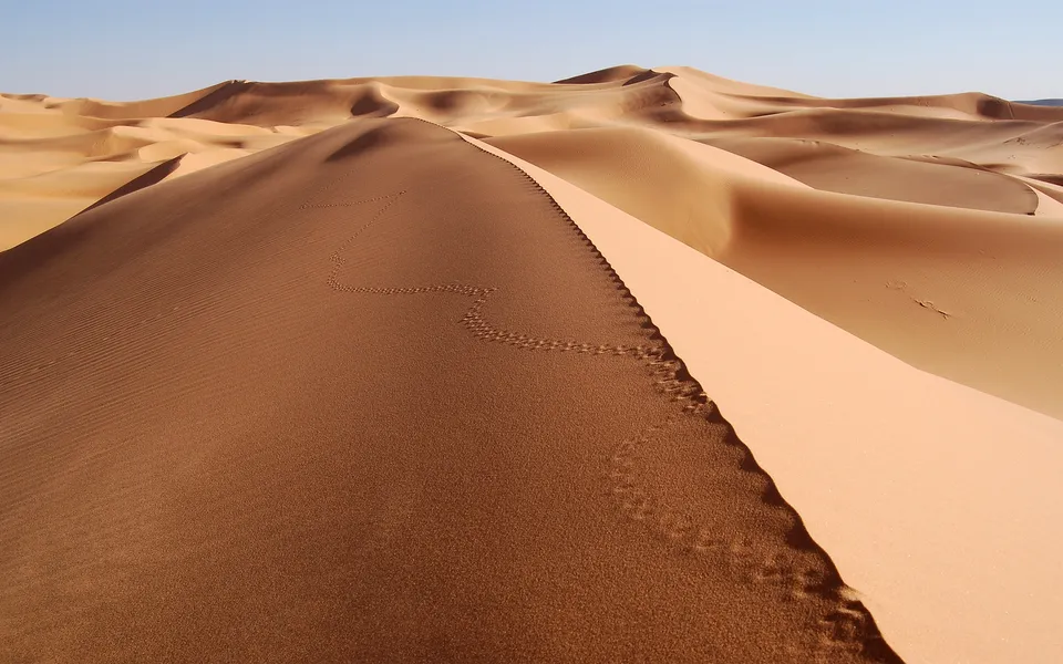 A winding trail of animal footprints leads across the crest of a large sand dune in a desert landscape.