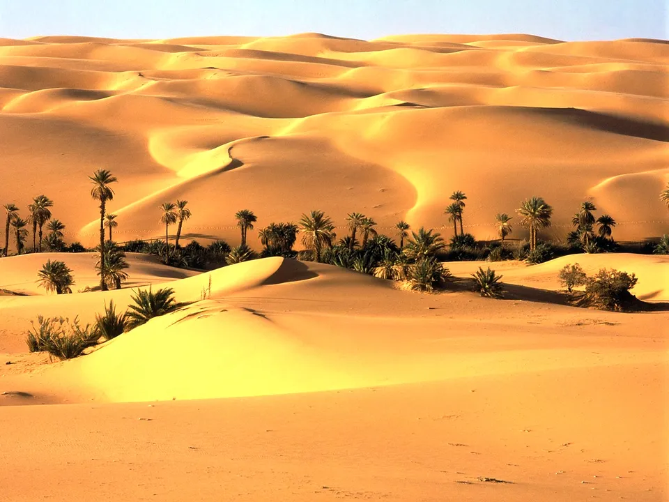 Vast desert landscape with rolling sand dunes and scattered palm trees under a clear blue sky.