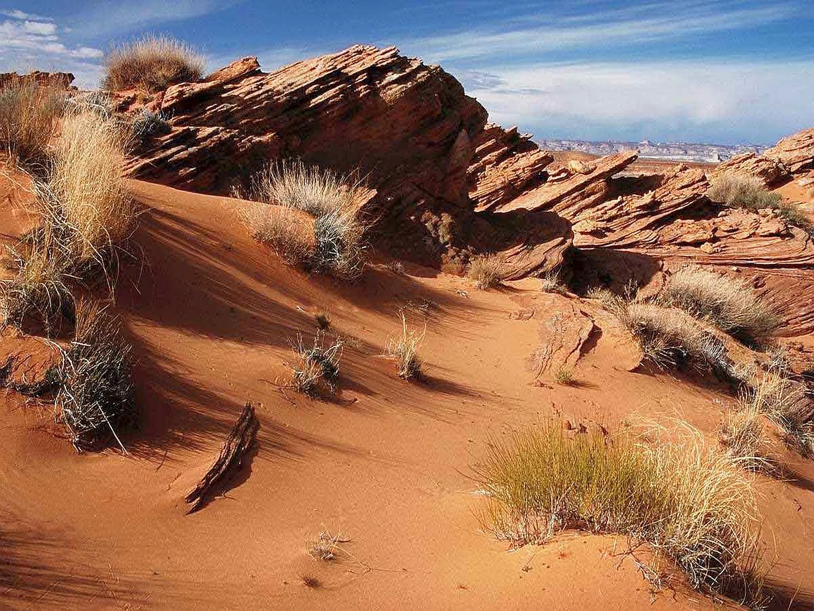 A desert landscape with rolling sand dunes, sparse dry grasses, and layered sandstone rock formations under a blue sky.