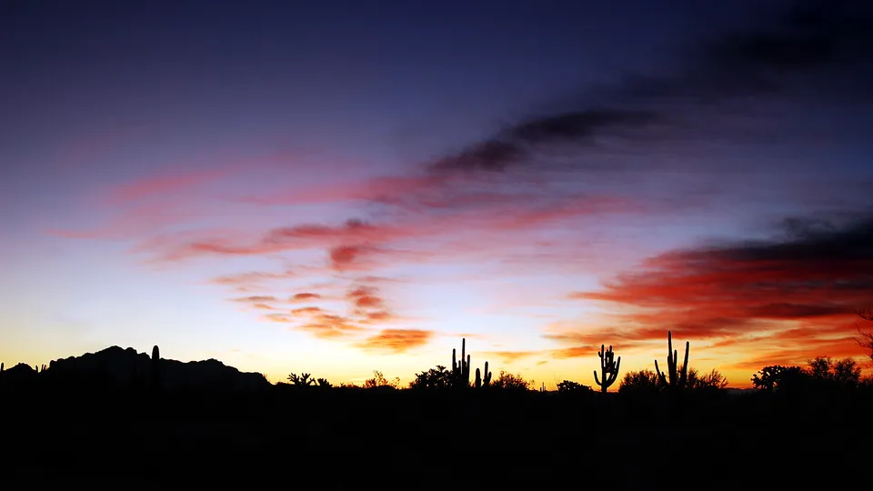 A desert landscape at sunset with silhouetted saguaro cacti and mountains against a colorful sky.
