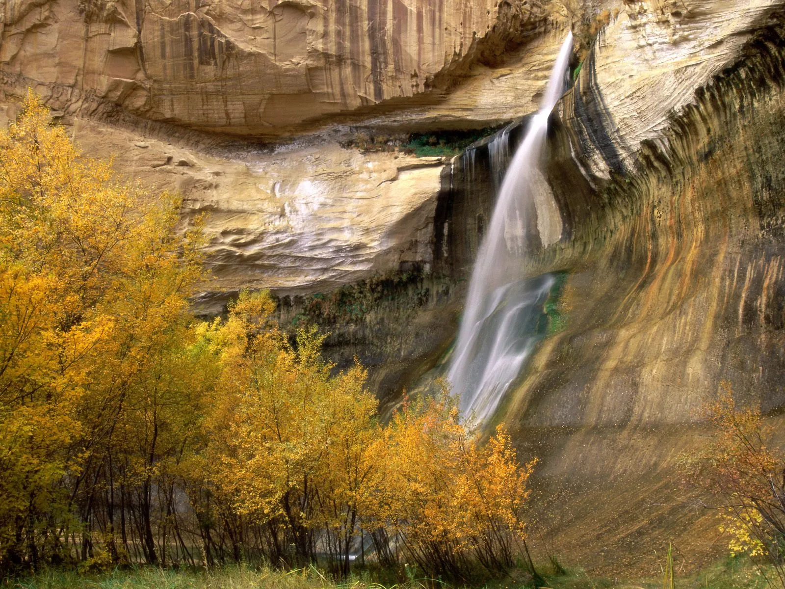 A thin waterfall cascades down a sandstone cliff face, surrounded by trees with golden autumn leaves.
