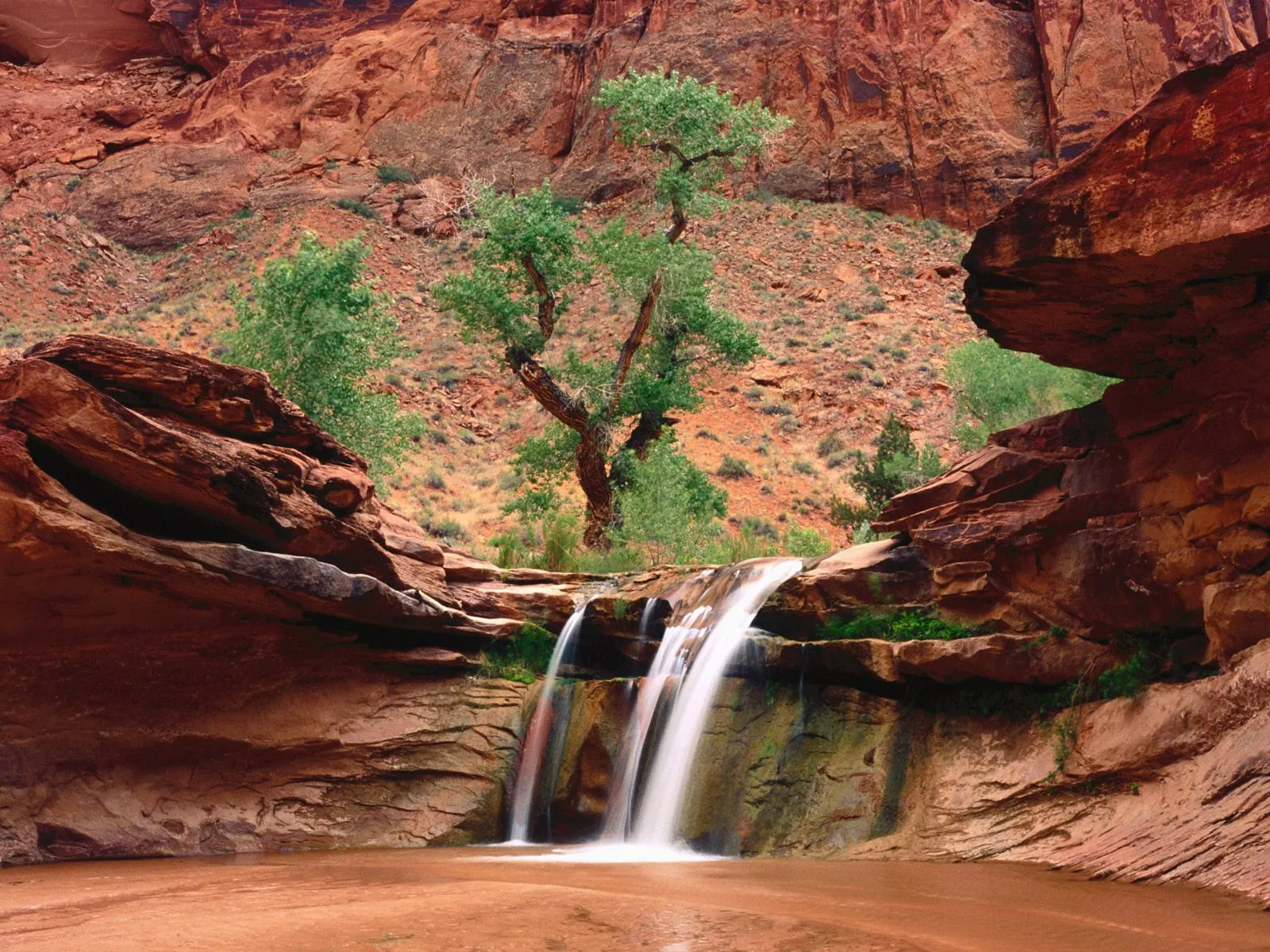 A multi-tiered waterfall flows into a pool in a desert canyon with red rock cliffs and green trees.