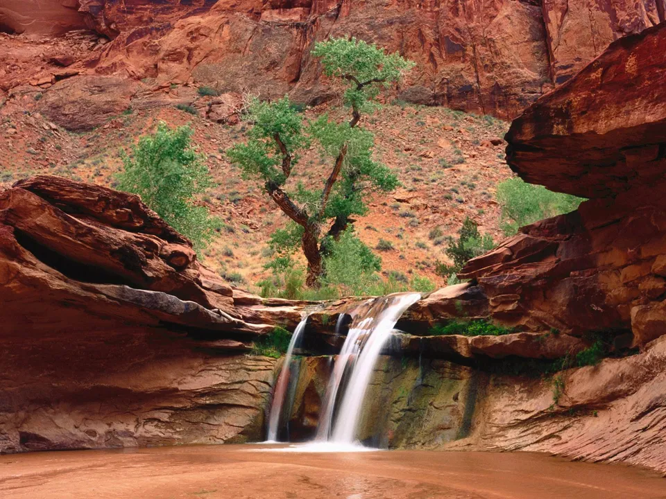 A multi-tiered waterfall flows into a pool in a desert canyon with red rock cliffs and green trees.