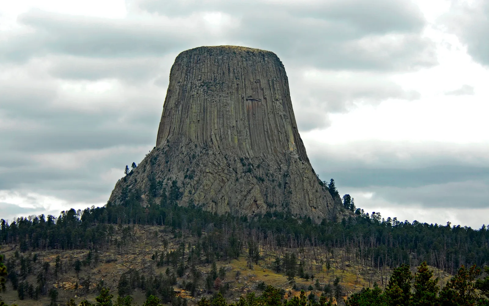 Devils Tower National Monument is viewed from a distance under a cloudy sky, surrounded by a dense forest.