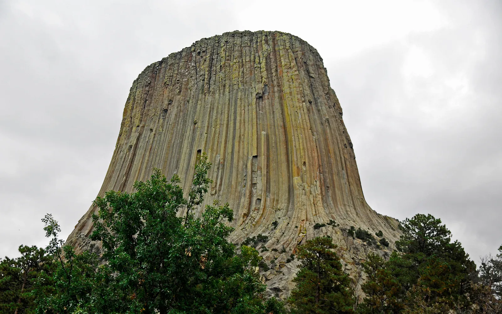 The imposing monolith of Devils Tower rises against an overcast sky, with green trees framing its base.