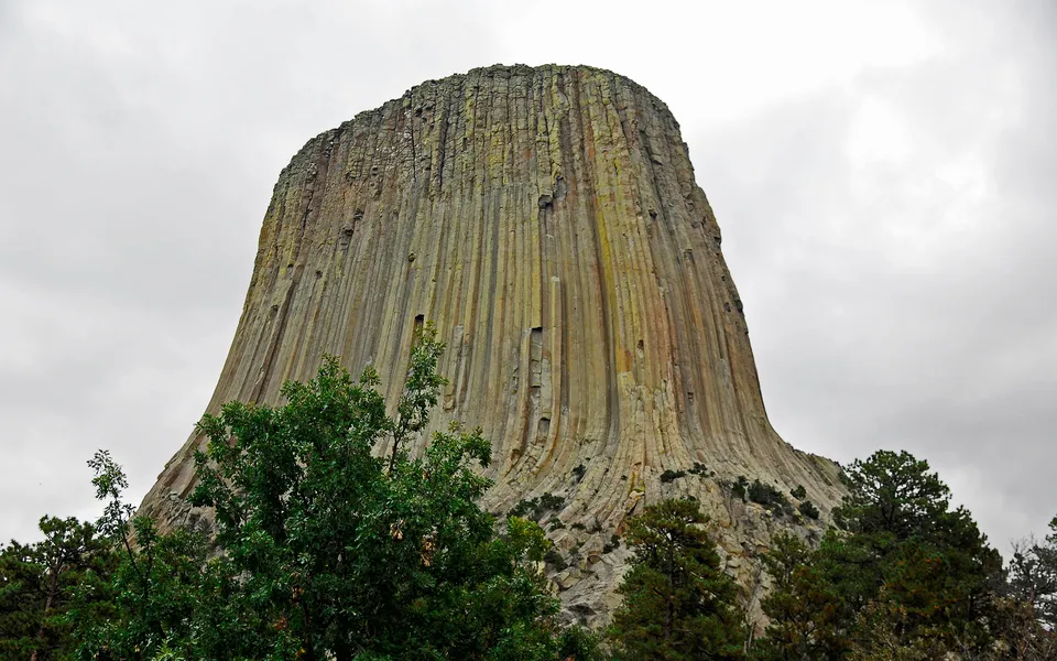 The imposing monolith of Devils Tower rises against an overcast sky, with green trees framing its base.
