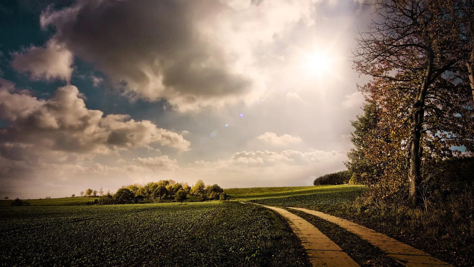 A winding dirt road leads through lush green fields towards a distant line of trees under a dramatic, cloudy sky.