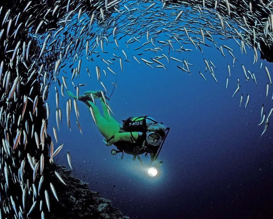 A scuba diver with a flashlight swims through a large school of small fish in the deep blue ocean.