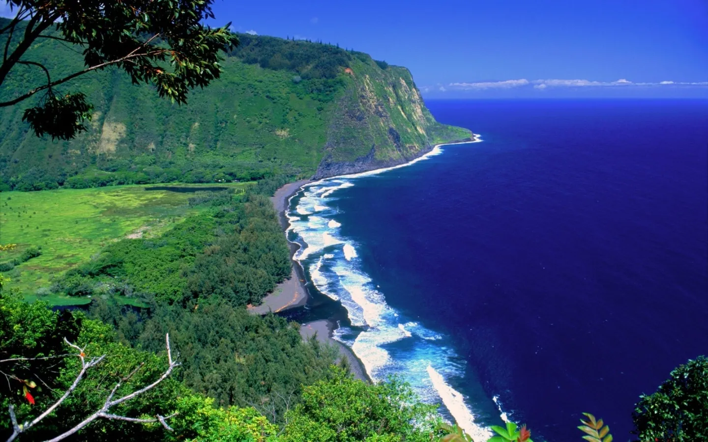 A high-angle view of lush green cliffs meeting the deep blue ocean with white waves crashing on a dark sand beach.