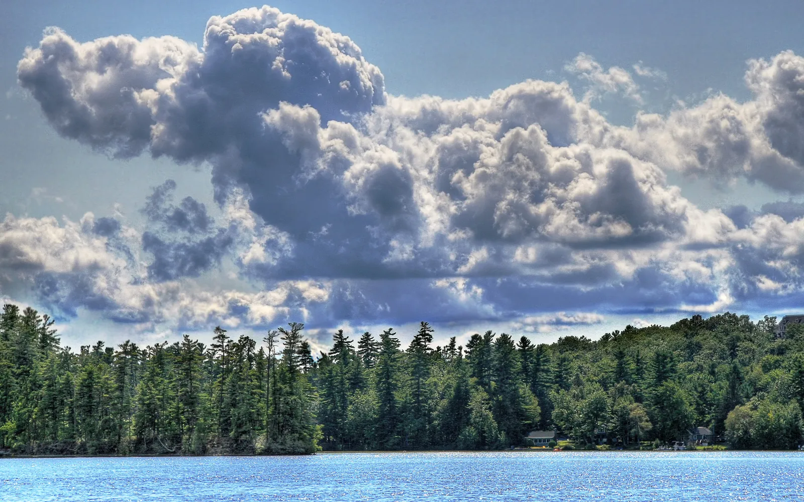 Dramatic, puffy white and grey clouds fill the sky above a dense green forest and a blue lake.