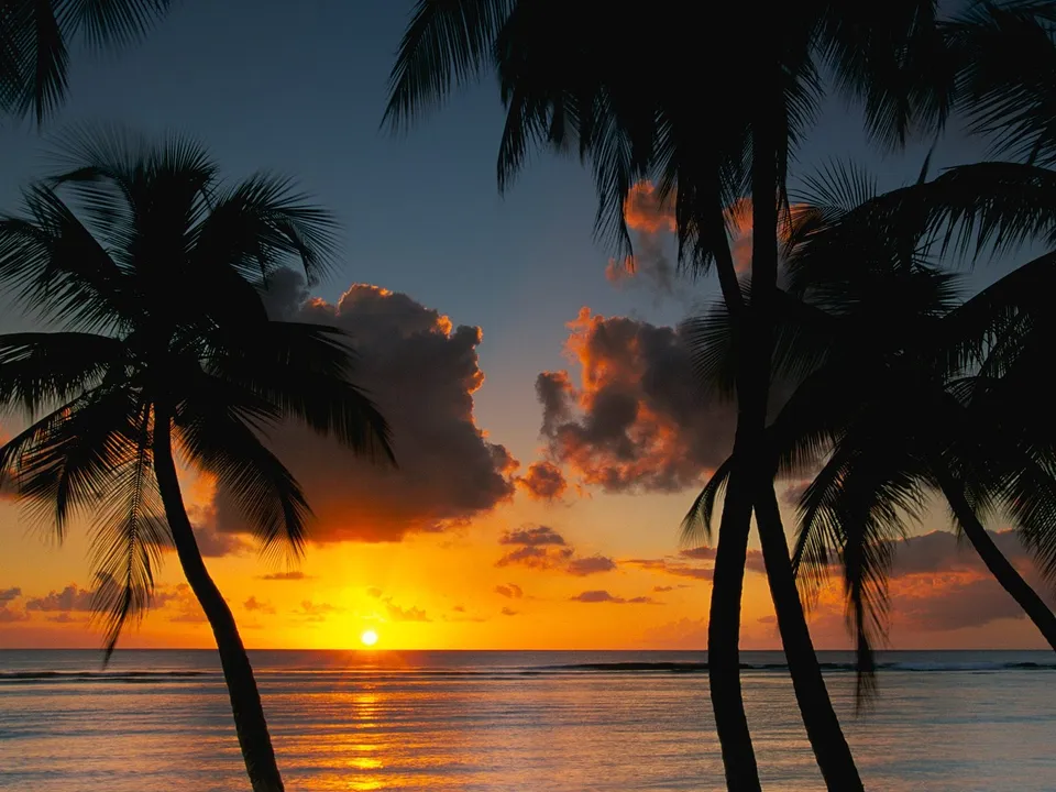 Dramatic clouds are illuminated by a fiery orange sunset over the ocean, with silhouetted palm trees.