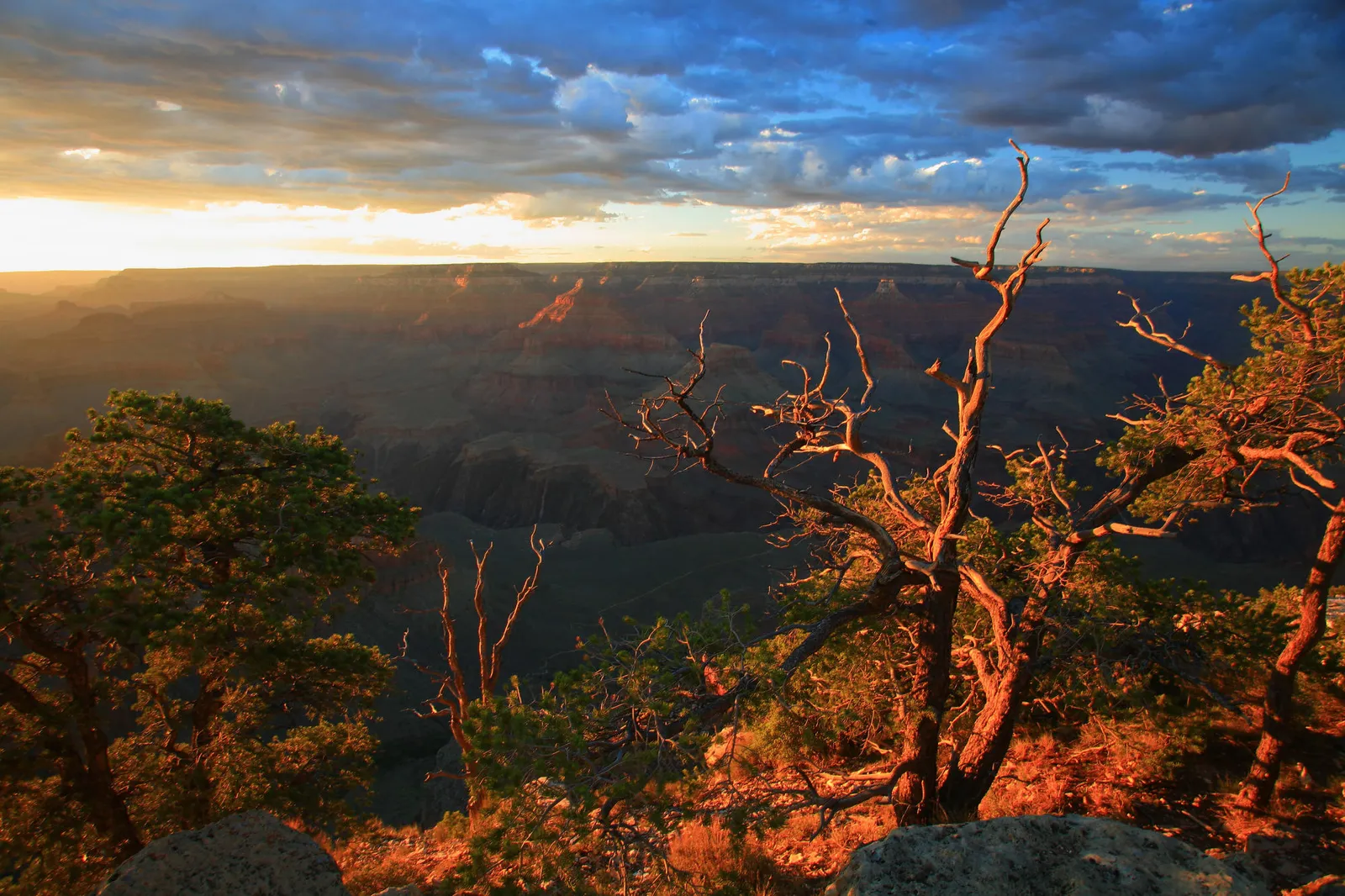 The setting sun casts a warm, golden glow across the Grand Canyon with dramatic clouds in the sky.