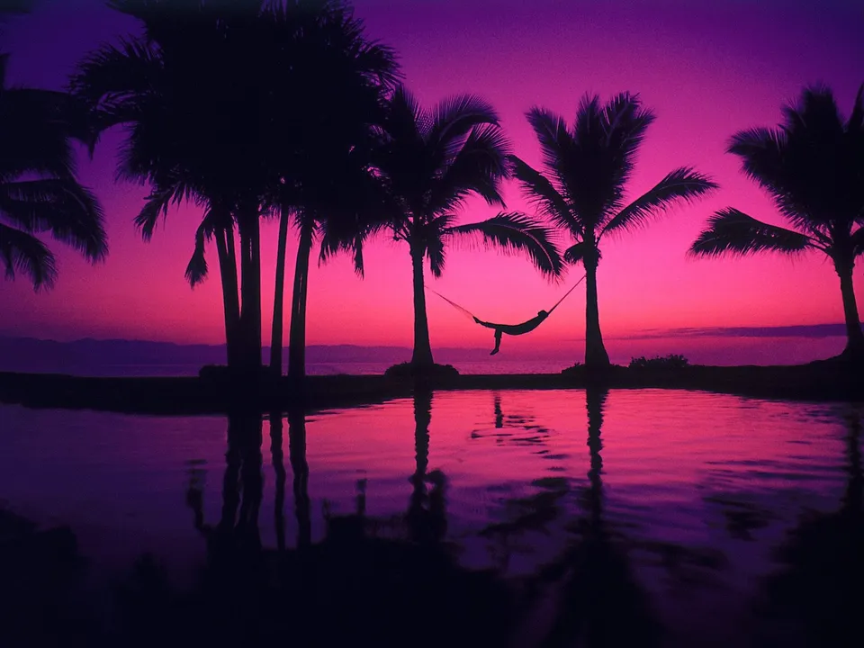 Silhouetted palm trees and a person in a hammock against a dramatic pink sky reflected in water.