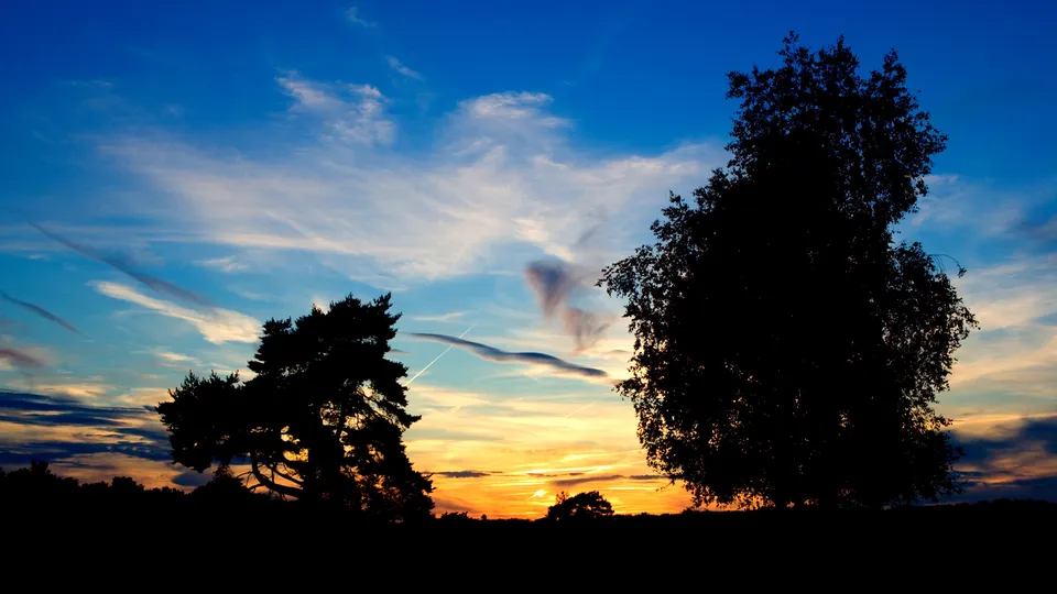 Two large trees stand in silhouette against a dramatic sunset sky.
