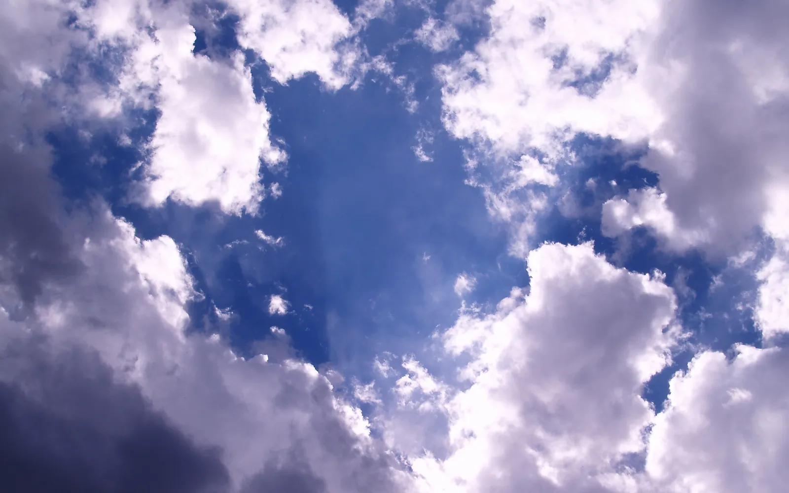 A view looking up at a deep blue sky filled with white and gray cumulus clouds.