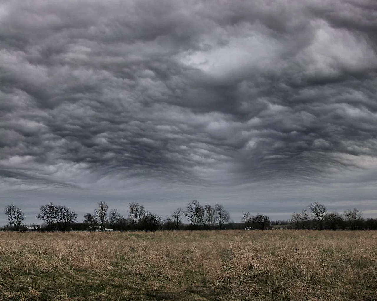 Dark, swirling storm clouds fill the sky above a dry, grassy field with silhouetted trees in the distance.