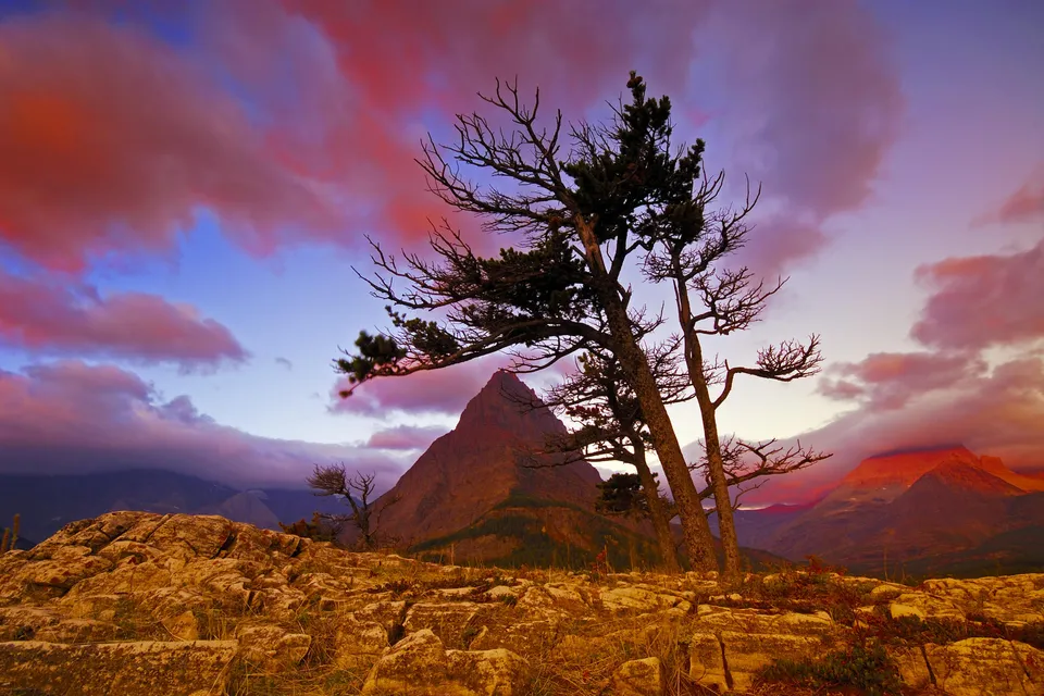 A lone tree in silhouette against a dramatic sunset sky with pink and purple clouds over a mountain peak.