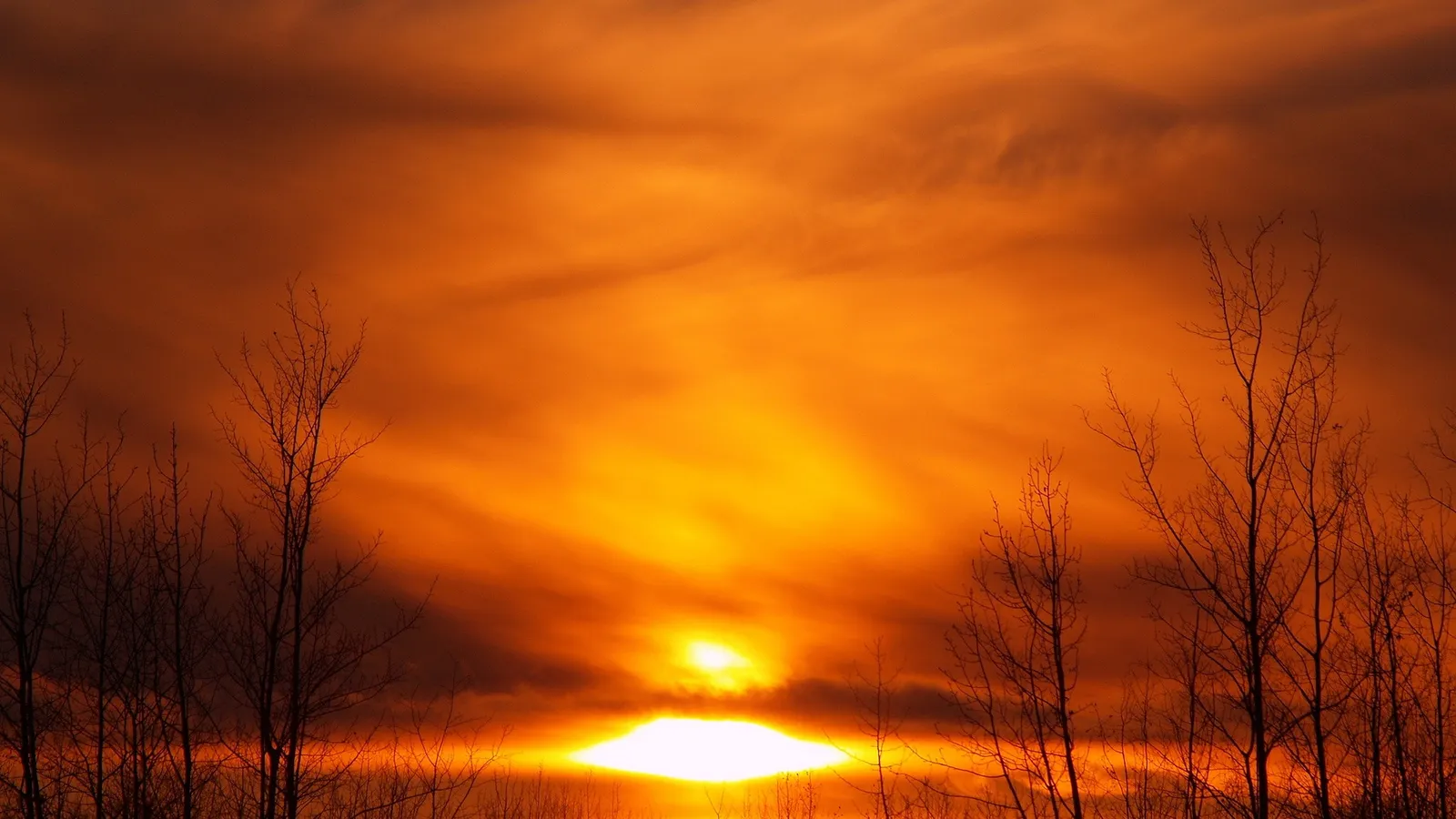 A vibrant orange and yellow sunset with silhouetted bare trees in the foreground.