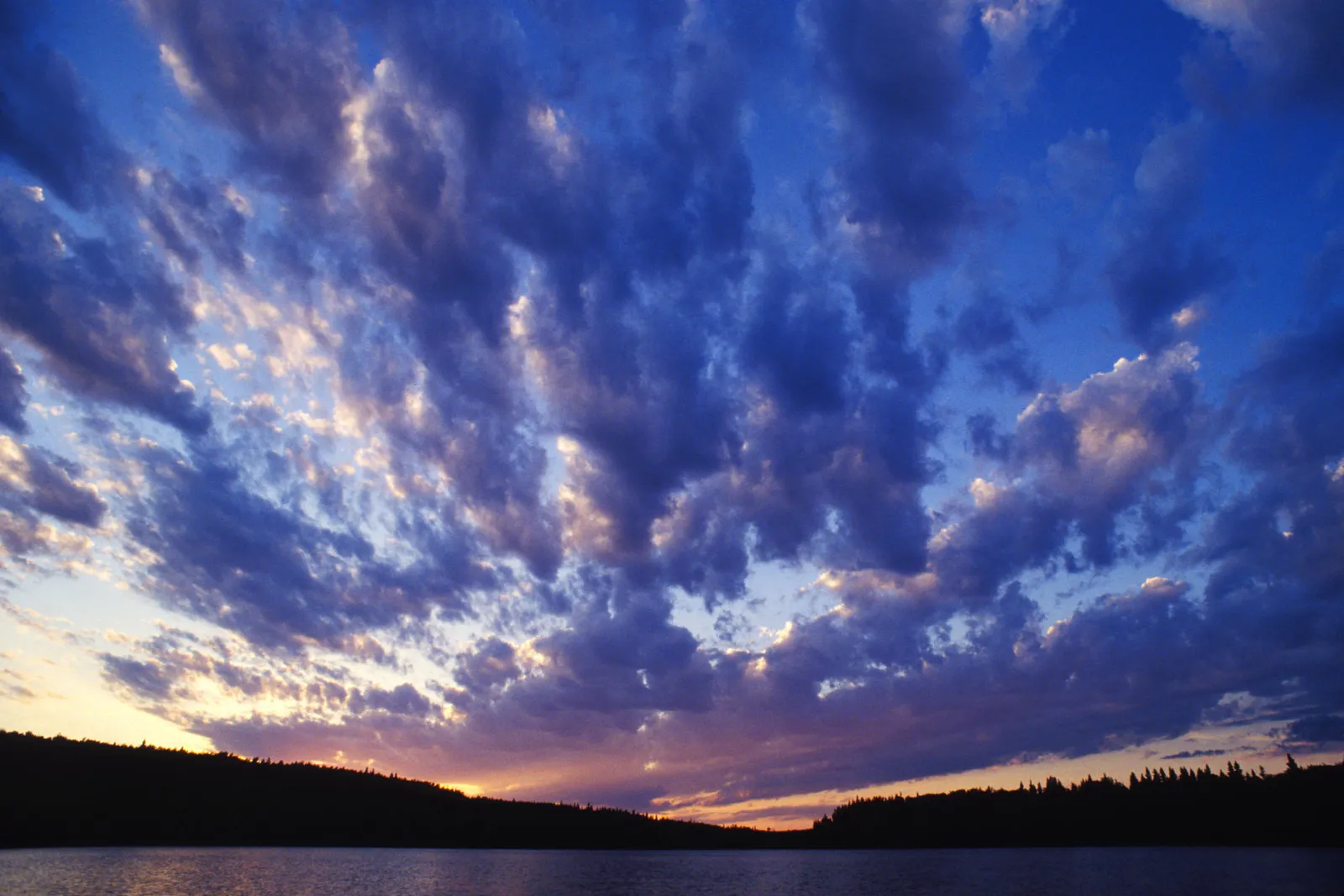 Dark clouds with illuminated edges against a deep blue and purple sky over a silhouetted treeline and water.