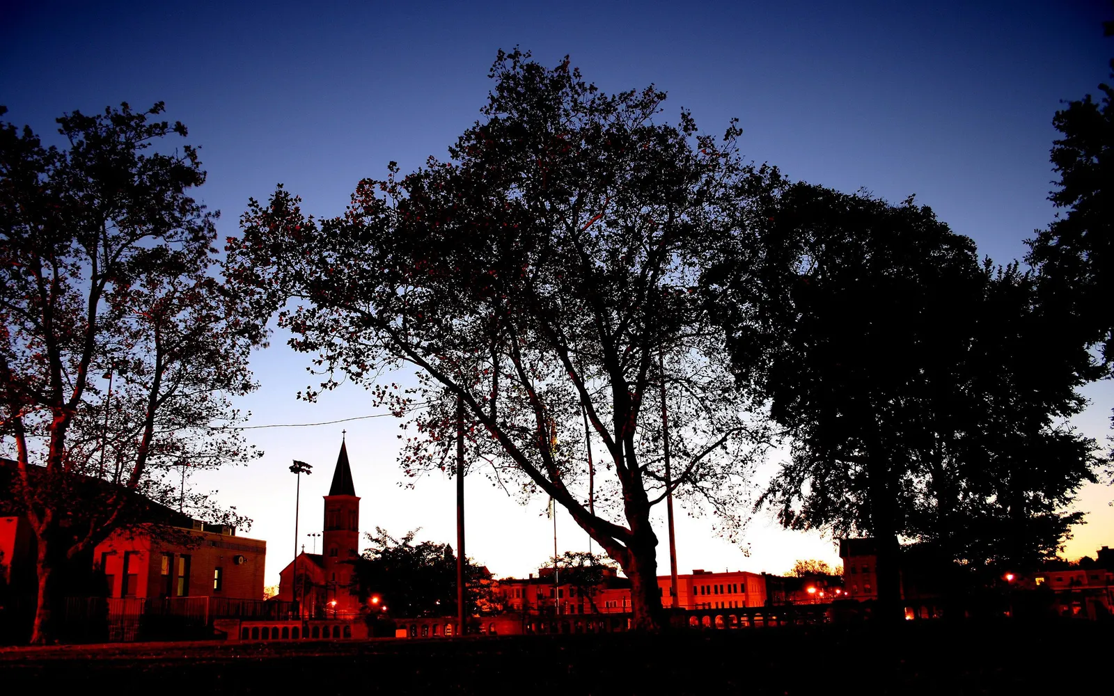 Silhouetted trees and buildings against a deep blue and orange dusk sky.