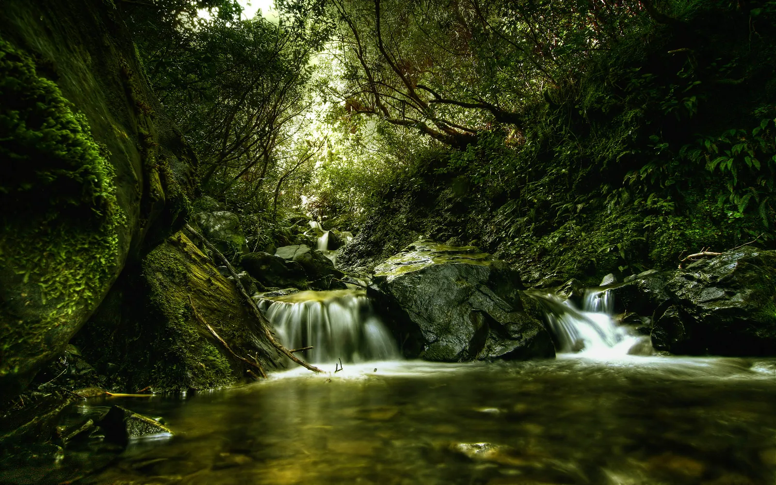 Sunlight filters through a dense canopy onto a small waterfall with a soft, blurred effect.