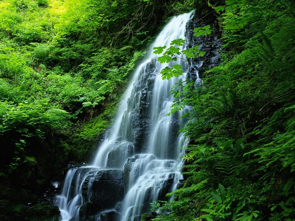 A waterfall cascades down a moss-covered rock face, surrounded by ferns and trees, with soft light filtering through.