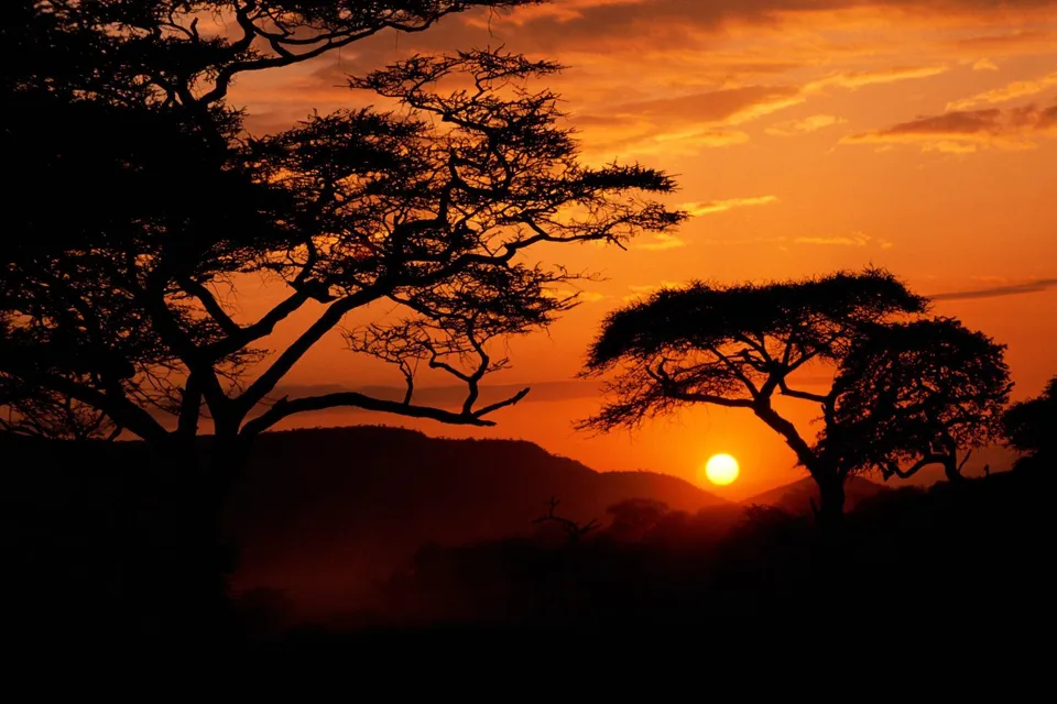 Silhouetted acacia trees against a fiery orange African sunset.