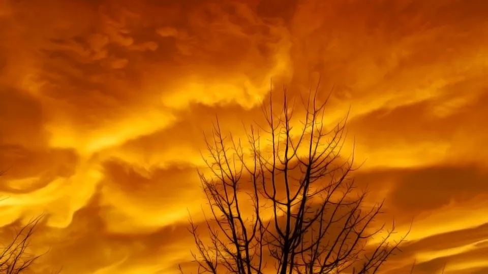 Dramatic orange and yellow clouds fill the sky, with the silhouette of bare tree branches in the foreground.