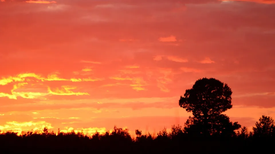 A dramatic sunset with vibrant orange and yellow clouds over a dark silhouetted forest.