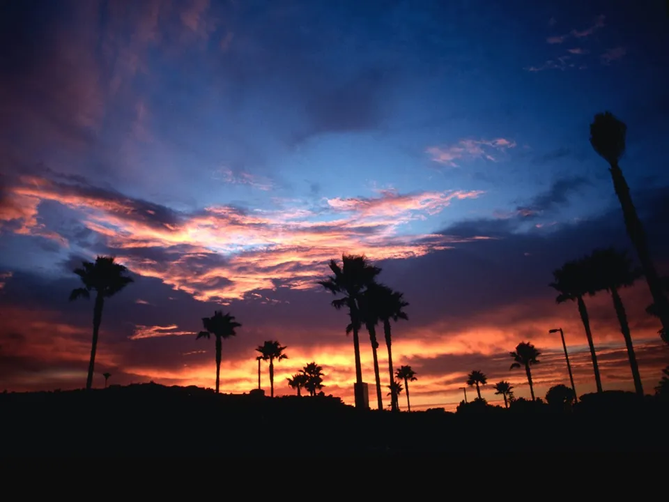 Silhouetted palm trees stand against a fiery orange and pink sunset sky.