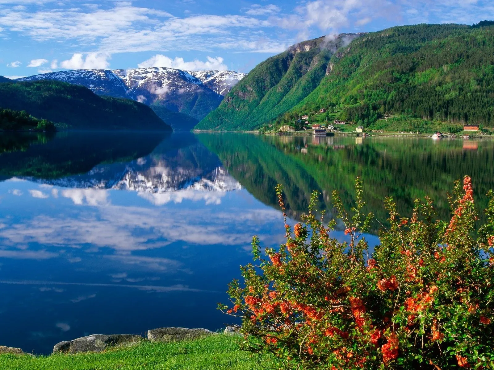 A calm fjord with reflections of snow-capped mountains and lush green hills under a blue sky with clouds.
