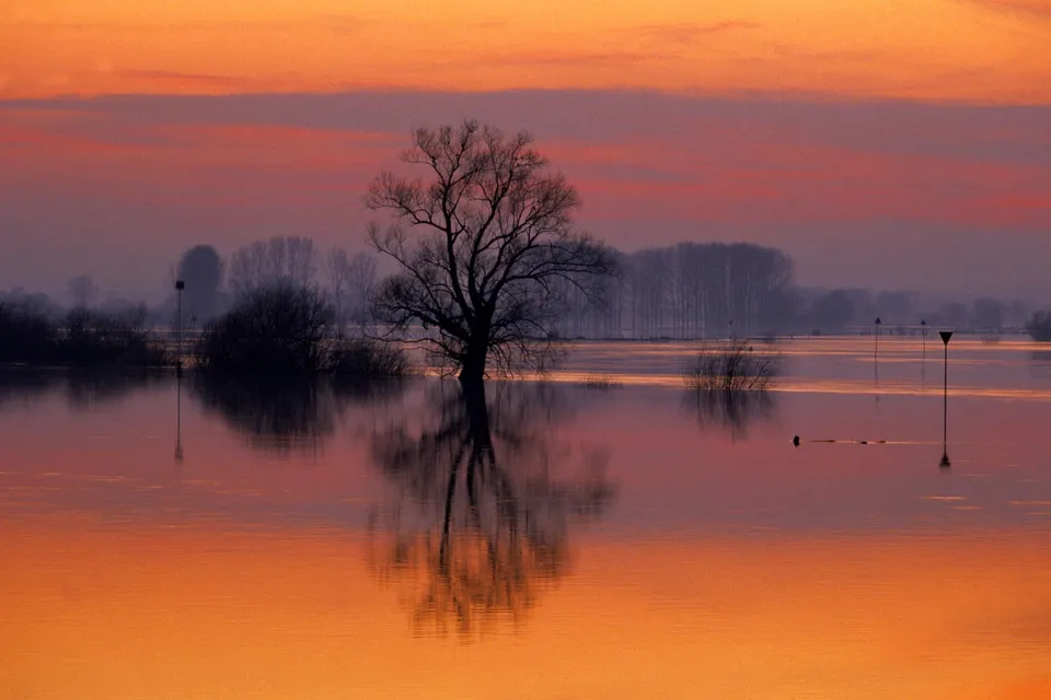 A bare tree stands in a flooded river, its reflection mirrored in the calm water under a vibrant orange and pink sky.