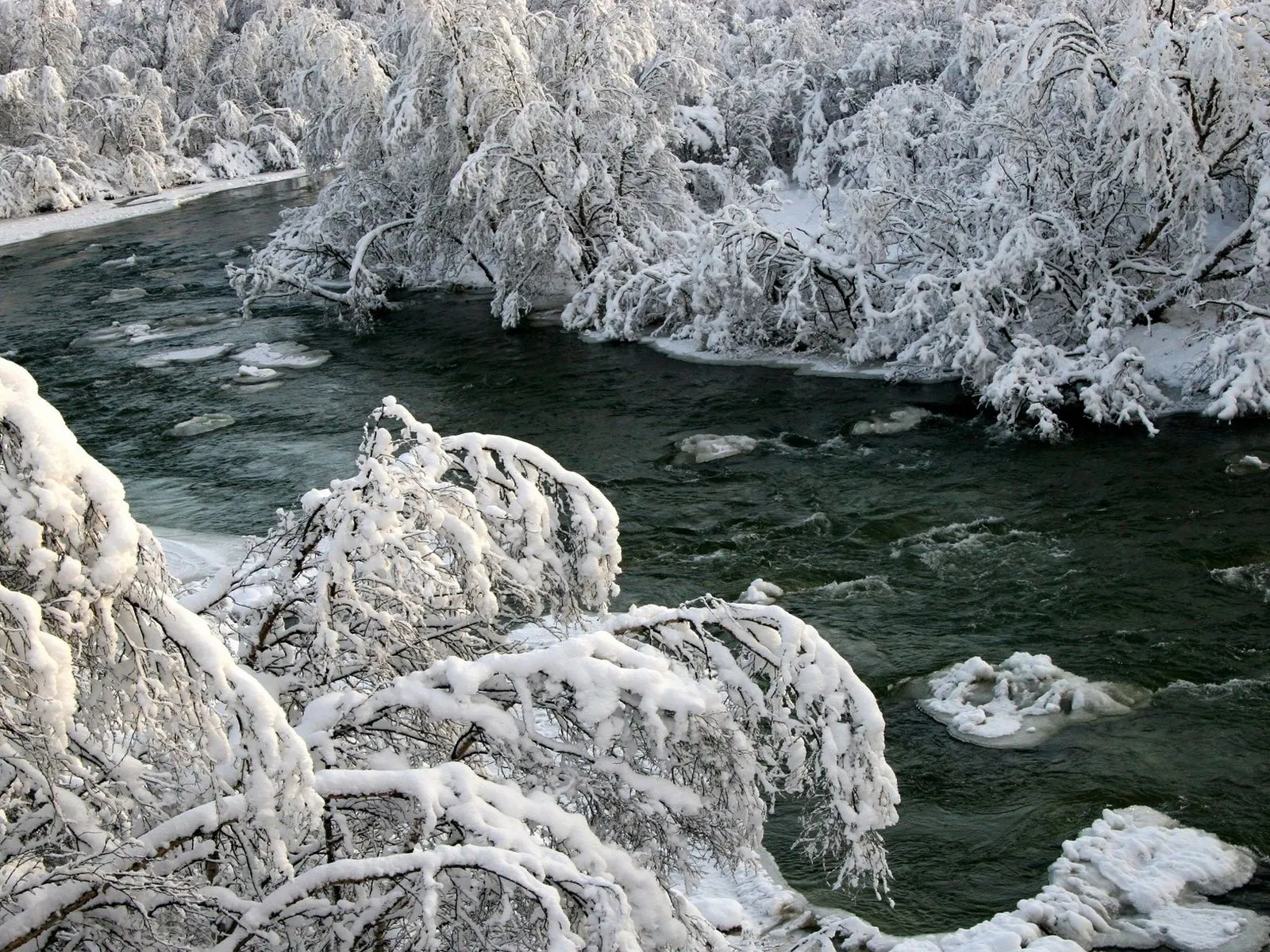 A dark, choppy river flows through a dense forest with snow-covered trees and branches.