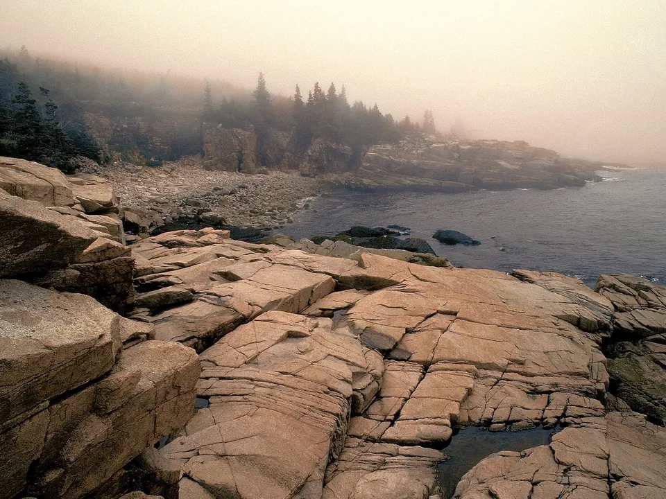 A rocky shoreline is obscured by thick fog, with pine trees visible on the distant cliffs.
