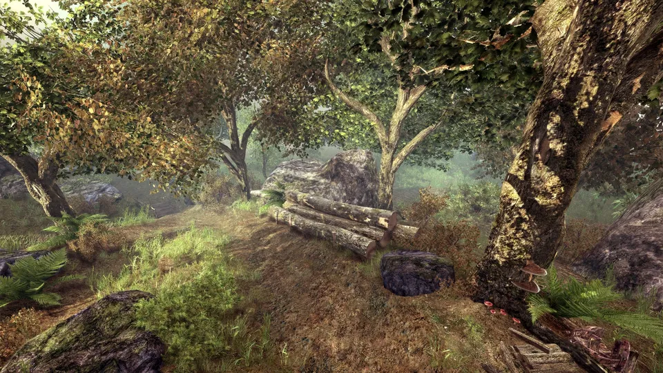 A forest clearing with sunlight filtering through the trees, showing fallen logs and mossy rocks.