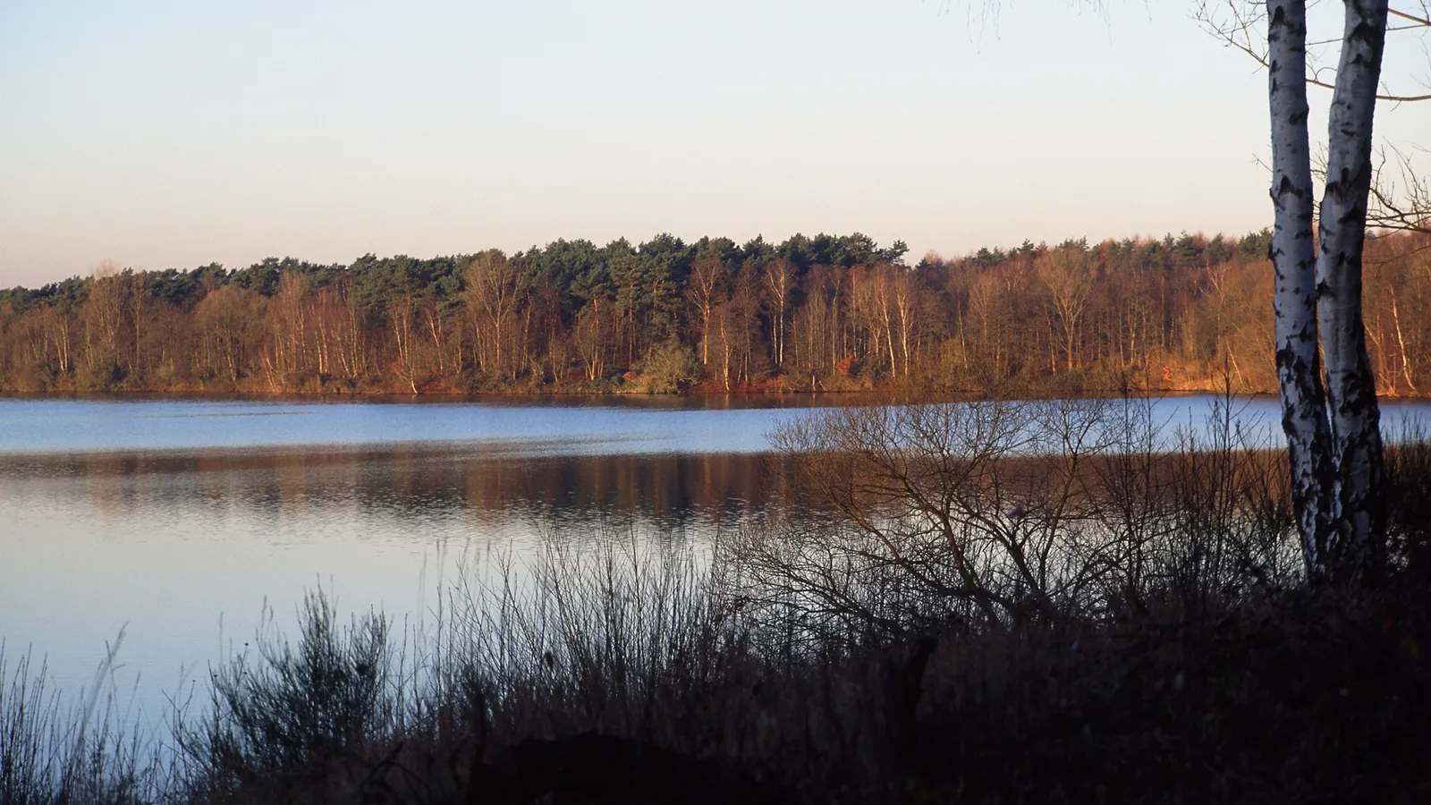 A calm lake reflects a dense forest line with bare and colorful trees under a clear sky.