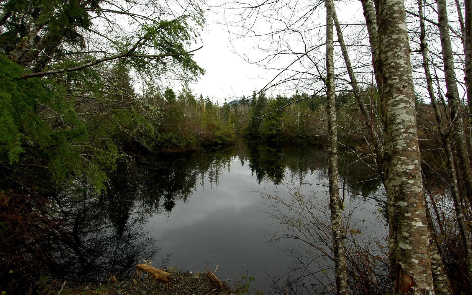 A dark, still lake surrounded by trees, reflecting the cloudy sky and forest.