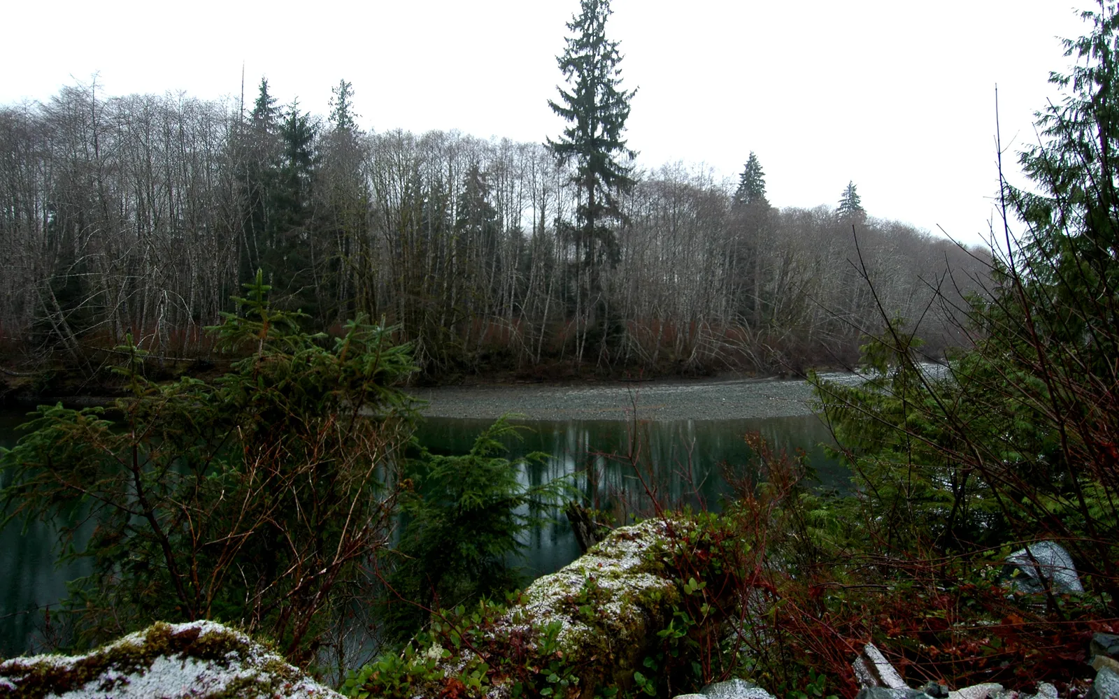 A wide, calm river flows through a forest with bare trees and some evergreens, with a rocky shore in the foreground.