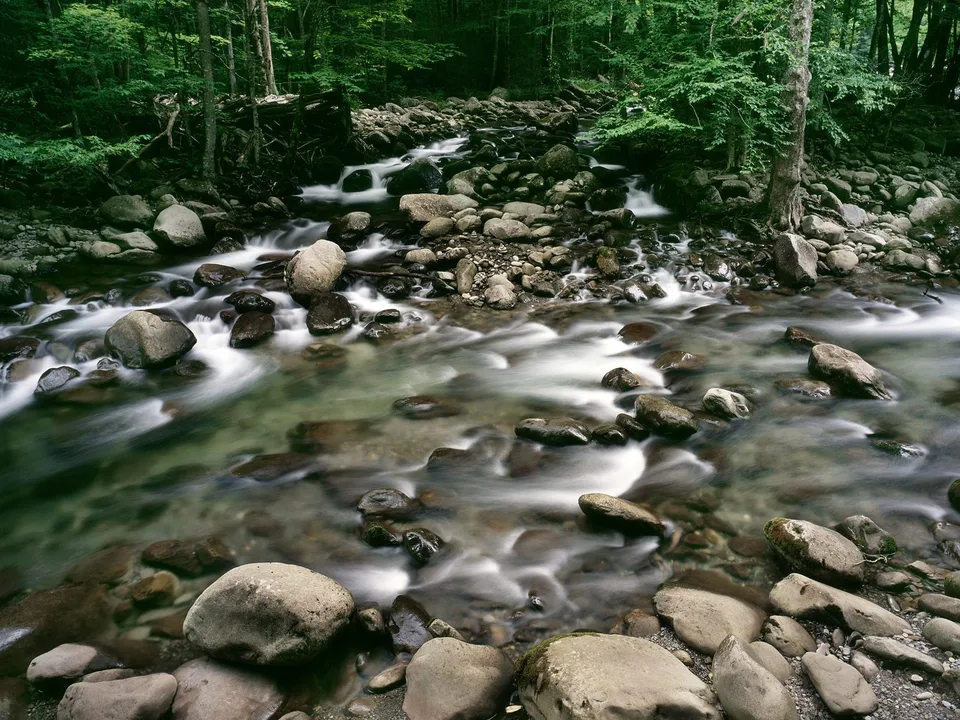 A forest stream with smooth, blurred water flowing over many rocks and pebbles, surrounded by trees.