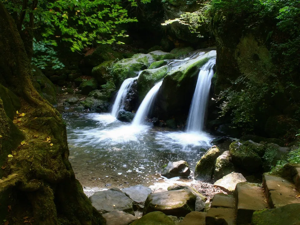 A series of small waterfalls cascade over moss-covered rocks in a dense, green forest.