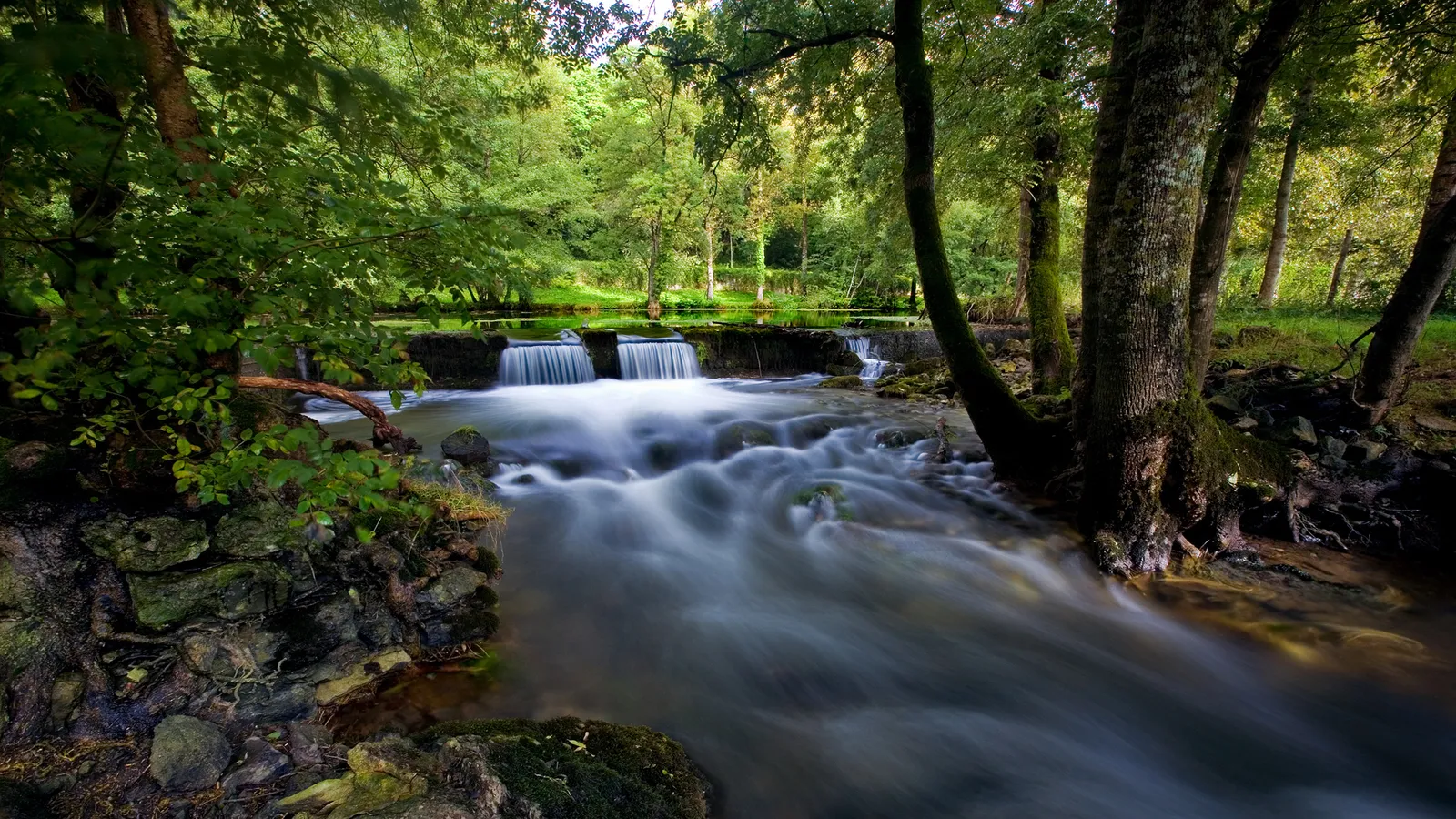 A gentle waterfall cascades over rocks in a lush green forest with trees lining the banks.