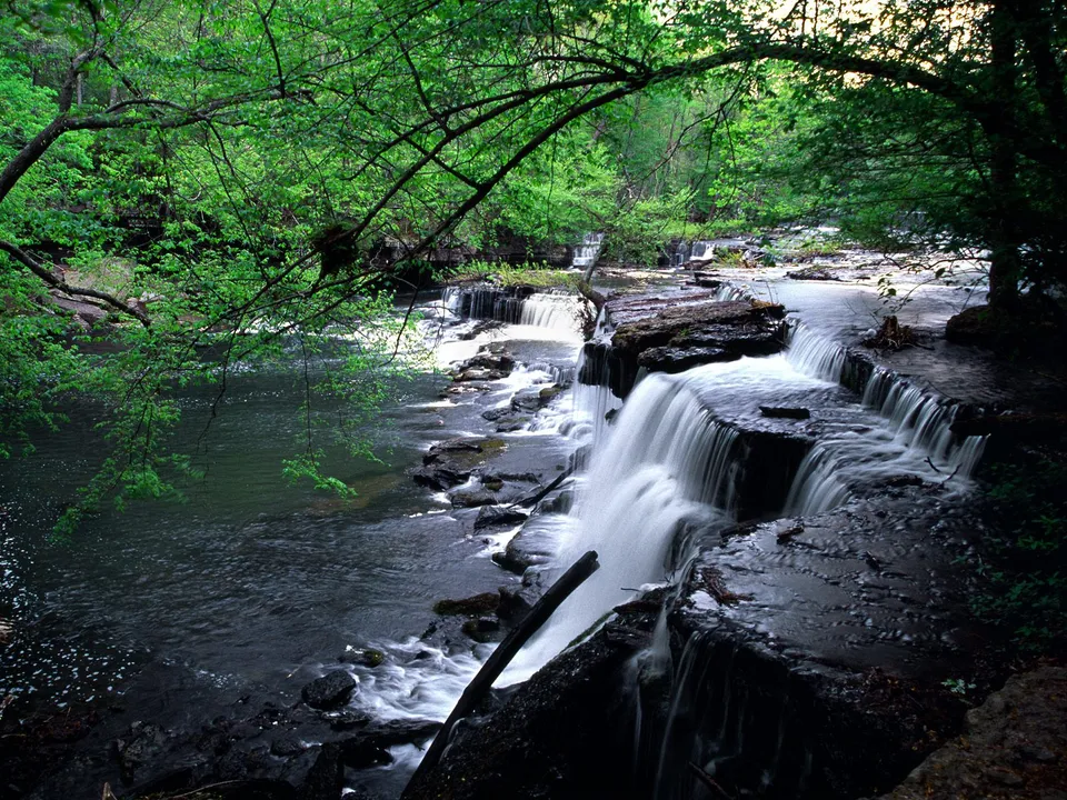 A wide waterfall cascades over dark rocks surrounded by dense green forest.