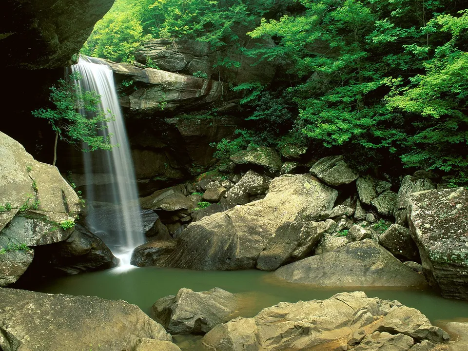 A tall, thin waterfall flows into a green pool surrounded by mossy rocks and dense green foliage.